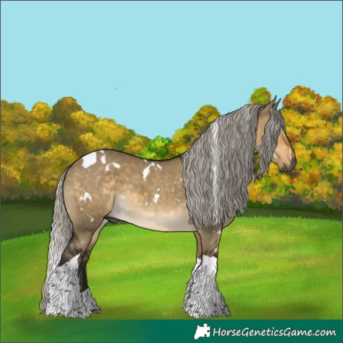 Horse Color:Gray White Spotted Silver Buckskin Dun Tobiano 