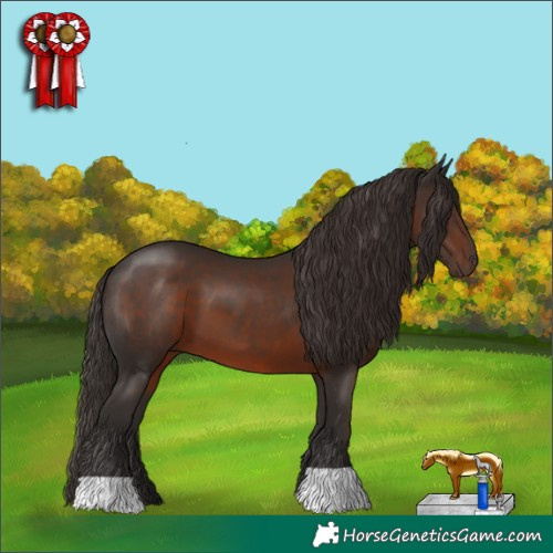 Horse Color:Liver Chestnut