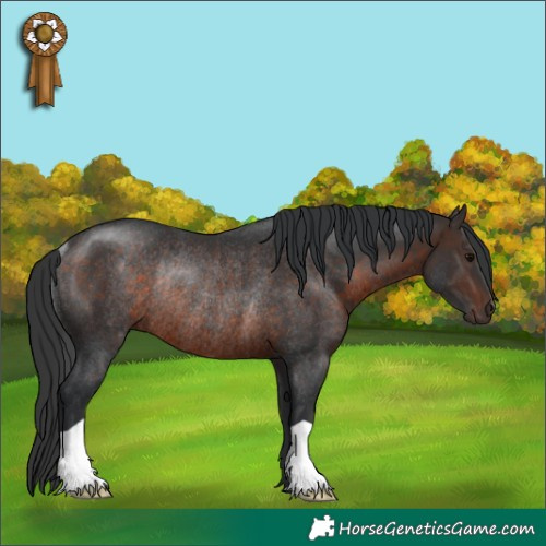 Horse Color:Brown Rabicano 