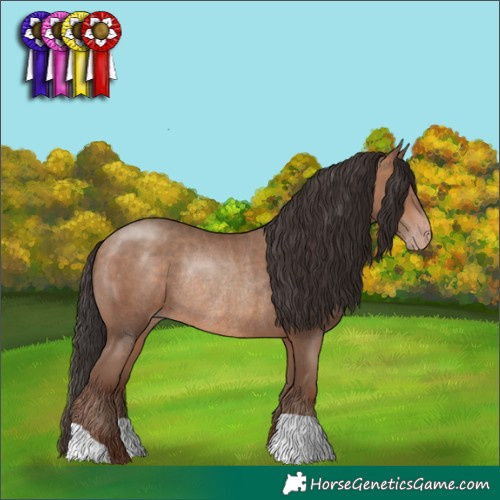 Horse Color:Sable Champagne Rabicano 