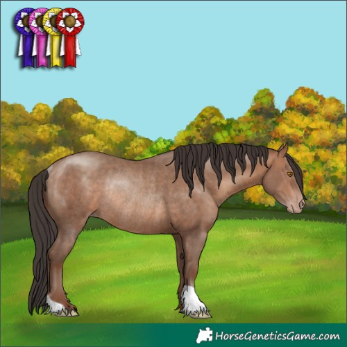 Horse Color:Sable Champagne Rabicano