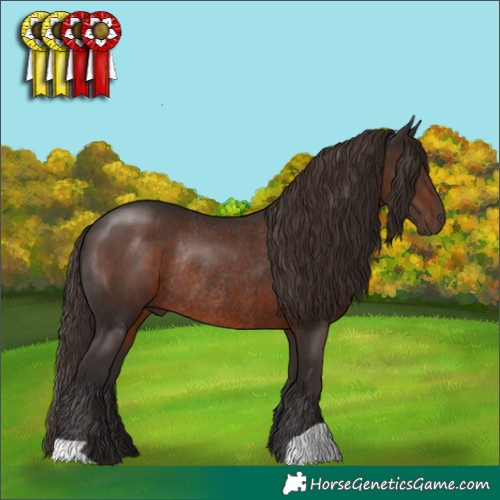 Horse Color:Liver Chestnut Rabicano 