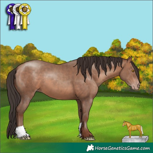 Horse Color:Sable Champagne 