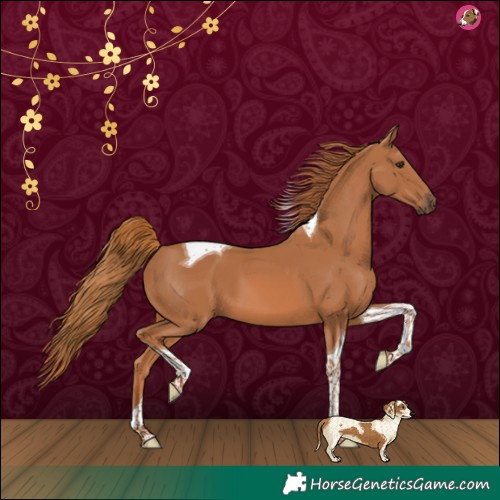 Horse Color:Chestnut Tobiano 