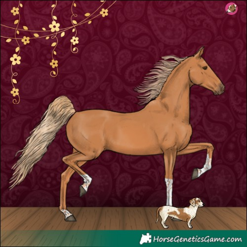 Horse Color:Chestnut Tobiano 