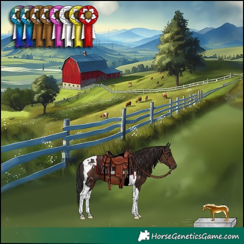 Horse Color:Liver Chestnut Tobiano