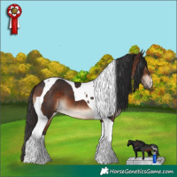 Horse Color:Brown Tobiano 