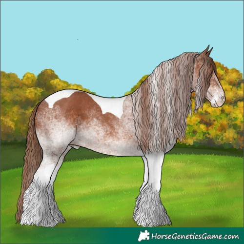 Horse Color:White Spotted Chestnut Tobiano 