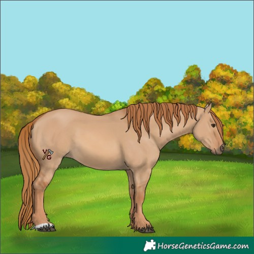 Horse Color:Red Dun