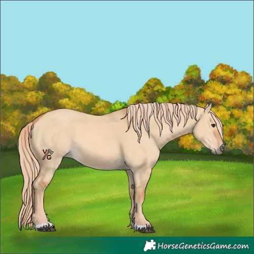 Horse Color:Red Dun 
