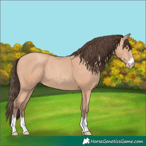 Horse Color:Amber Champagne 