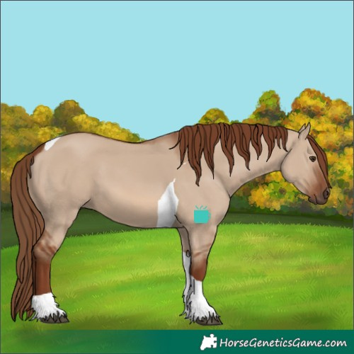 Horse Color:Red Dun Tobiano 