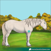 Horse Color:Smoky Creme