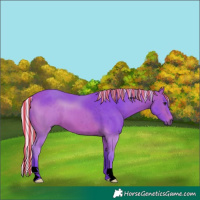 Horse Color:Void Painted Watercolor Silver Bay 