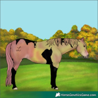 Horse Color:Void Watercolor Chestnut Tobiano 
