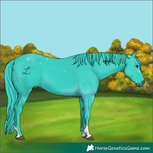 Horse Color:Watercolor Black Tobiano 