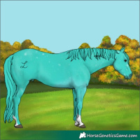 Horse Color:Watercolor Black Tobiano