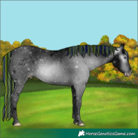 Horse Color:ERROR: UNKNOWN ANOMALY
