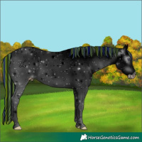 Horse Color:ERROR: UNKNOWN ANOMALY