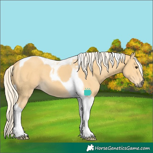 Horse Color:Palomino Ice Tobiano