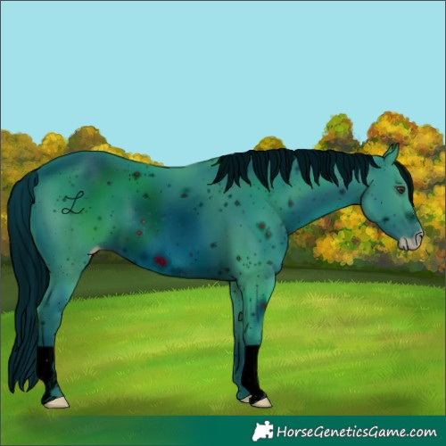 Horse Color:ERROR: UNKNOWN ANOMALY