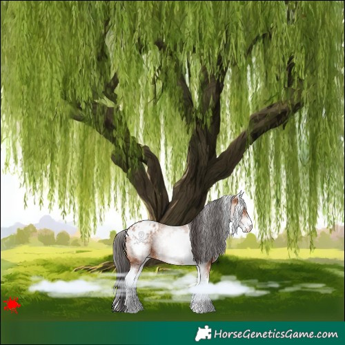 Horse Color:White Spotted Bay Varnish 