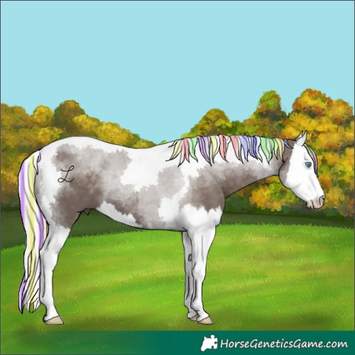 Horse Color:Painted Silver Black Splash Tobiano 