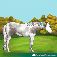 Horse Color:Painted Silver Black Splash Tobiano 