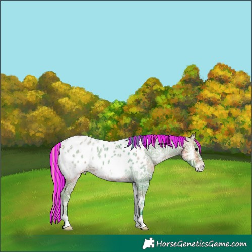 Horse Color:Painted Watercolor Bay Ice Onyx Near Leopard 