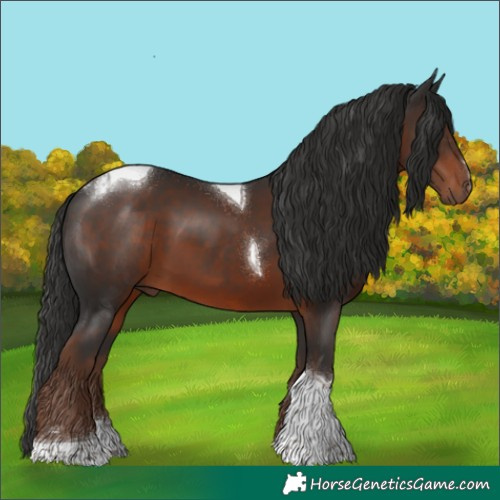 Horse Color:Liver Chestnut Tobiano 