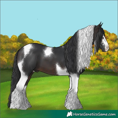 Horse Color:Brown Tobiano