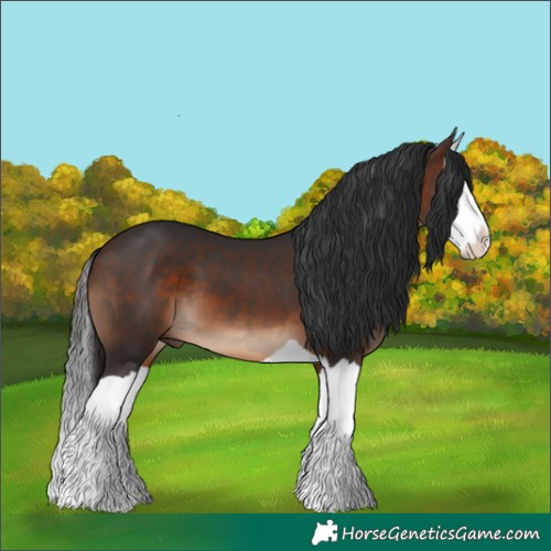 Horse Color:Brown Splash 
