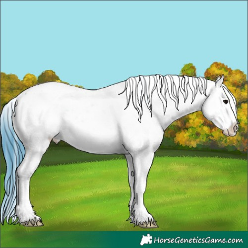 Horse Color:Watercolor Black Sabino Rabicano 