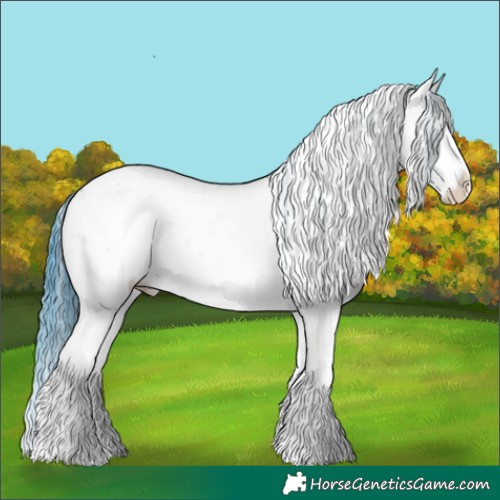 Horse Color:Watercolor Black Sabino Rabicano 