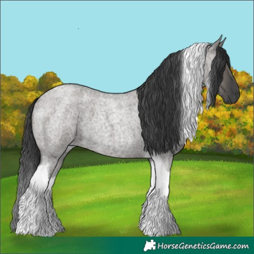 Horse Color:Grullo Roan Tobiano 