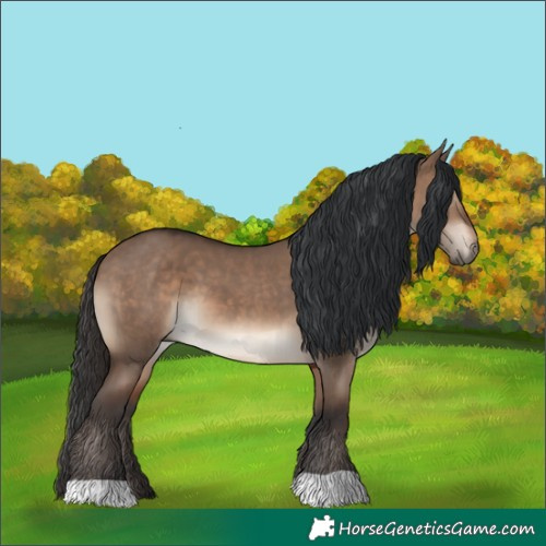 Horse Color:Brown Dun