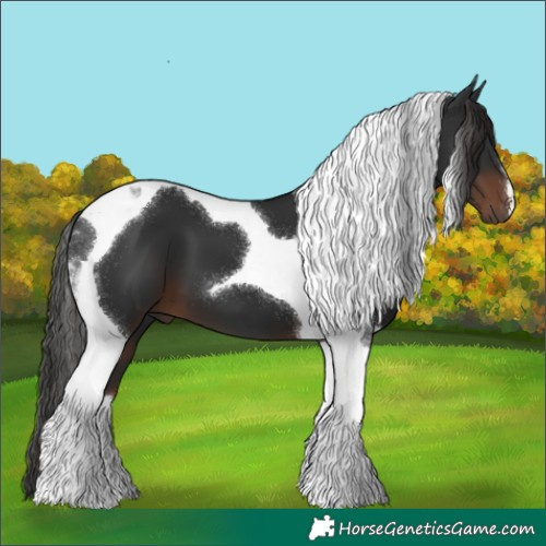 Horse Color:Liver Chestnut Tobiano