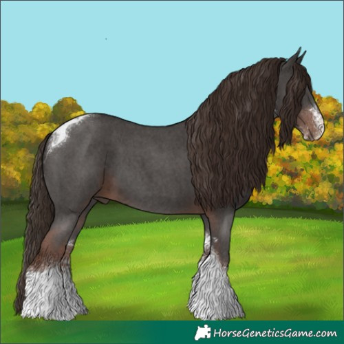 Horse Color:Liver Chestnut Sabino Tobiano 