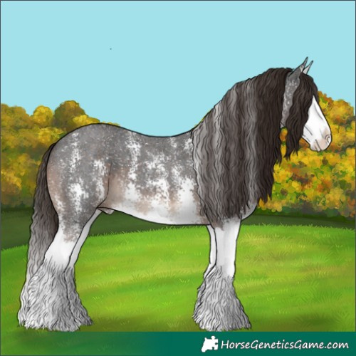 Horse Color:Liver Chestnut Sabino Splash