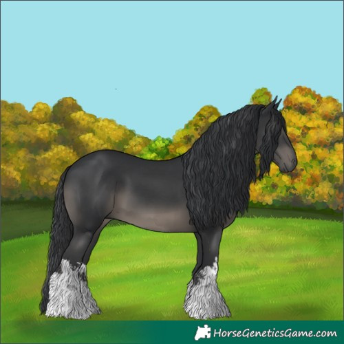 Horse Color:White Spotted Black 