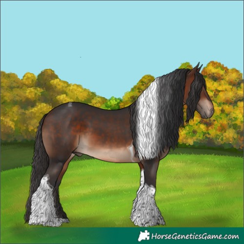 Horse Color:Brown Tobiano