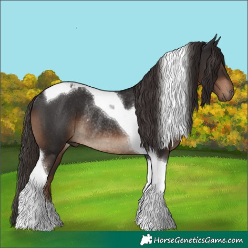 Horse Color:Liver Chestnut Tobiano Rabicano 