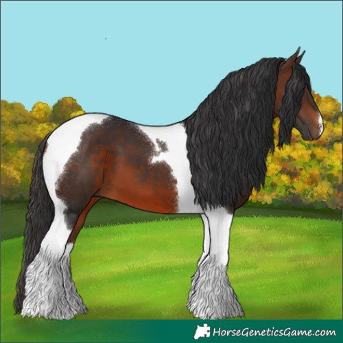 Horse Color:Brown Tobiano 