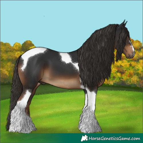 Horse Color:Gray Liver Chestnut Tobiano 