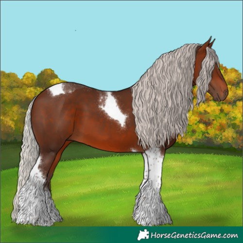 Horse Color:Silver Brown Tobiano 