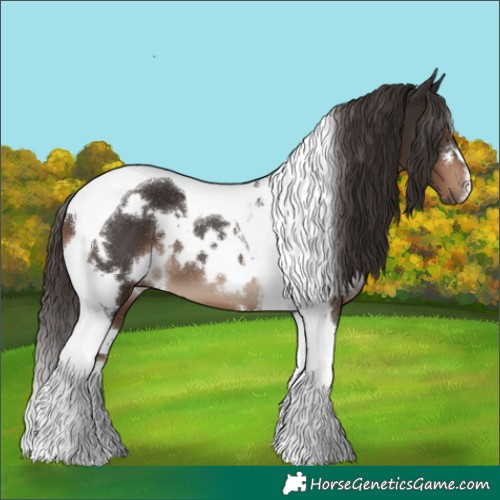 Horse Color:White Spotted Liver Chestnut Tobiano 
