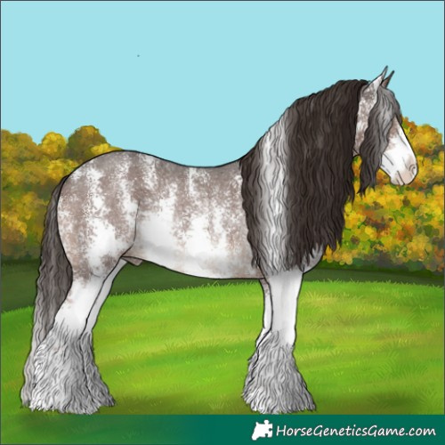 Horse Color:Liver Chestnut Sabino Rabicano 