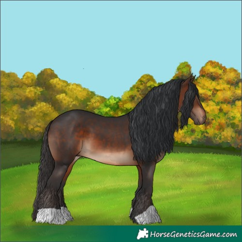 Horse Color:Brown 