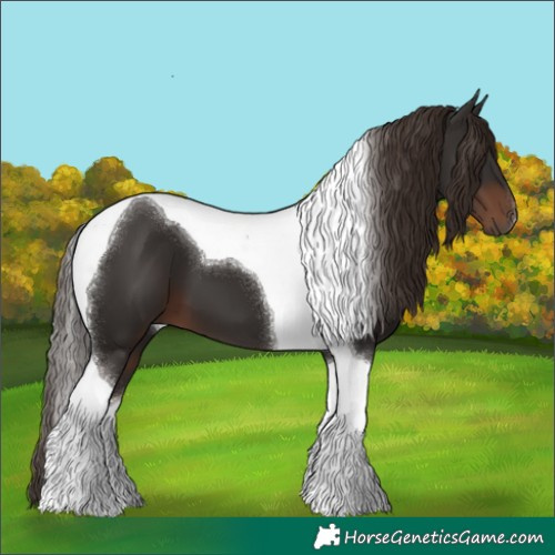 Horse Color:Liver Chestnut Tobiano 