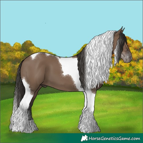 Horse Color:Liver Red Dun Tobiano 